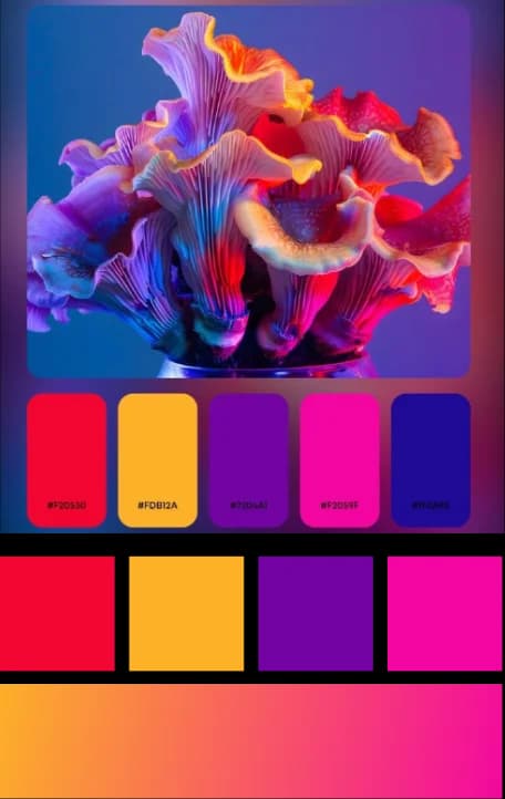 Vibrant Accent Colors